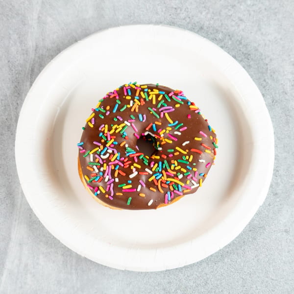Chocolate frosted donut with colorful sprinkles on a white paper plate.